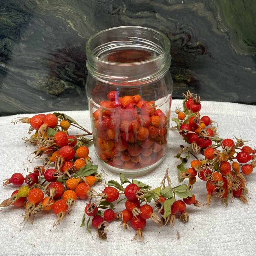 Wild Rose Hips Organic Hand Crafted Bath Soak Gift Jar New